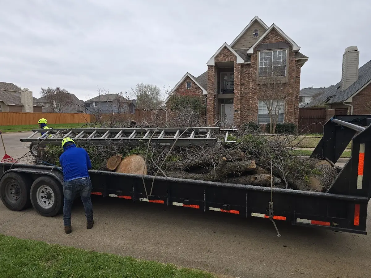 Expert Lot Clearing with proper safety equipment in Mc Clure
